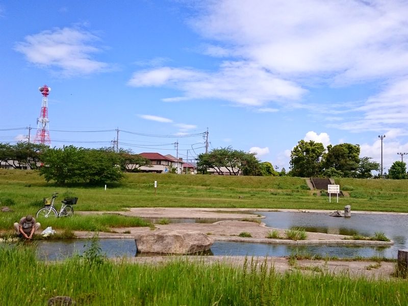 夏の多摩川親水公園